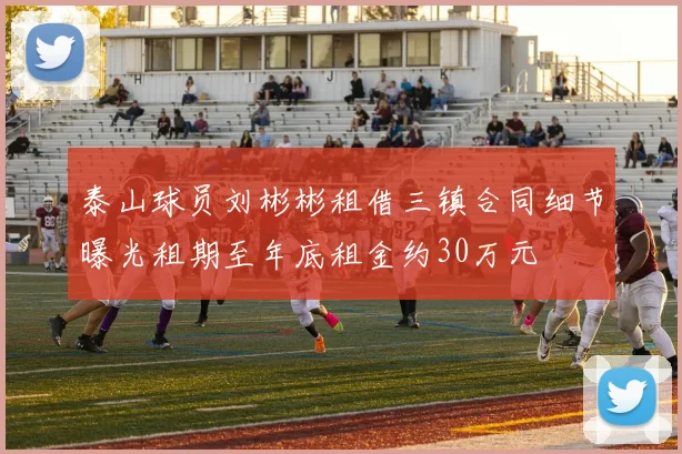 泰山球员刘彬彬租借三镇合同细节曝光租期至年底租金约30万元